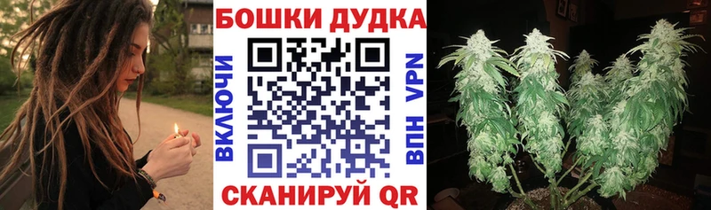закладка  Пугачёв  МАРИХУАНА индика 